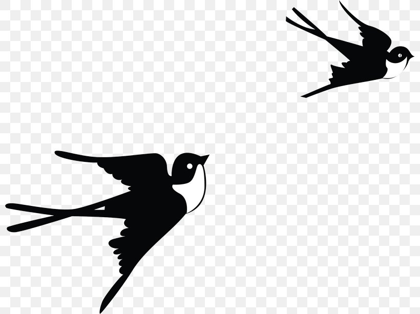 Papercutting Silhouette Clip Art, PNG, 800x613px, Papercutting, Art, Beak, Bird, Black And White Download Free