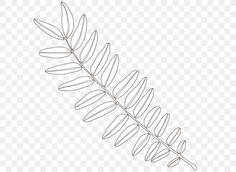 Twig Line Art Angle Leaf, PNG, 600x600px, Twig, Black And White, Branch, Leaf, Line Art Download Free