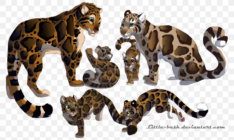 Clouded Leopard Pumas Tiger Felidae, PNG, 800x490px, Leopard, Animal Figure, Art, Big Cat, Big Cats Download Free