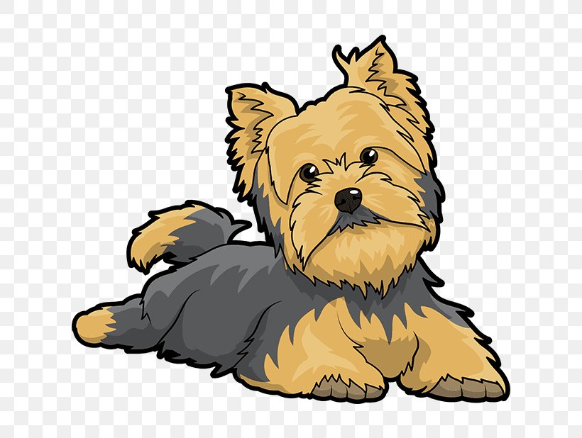 Yorkshire Terrier Puppy Cairn Terrier Australian Silky Terrier Clip Art, PNG, 618x618px, Yorkshire Terrier, Australian Silky Terrier, Cairn Terrier, Carnivoran, Companion Dog Download Free