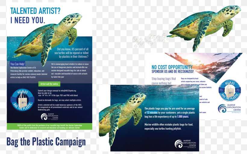 CLEAR LABS Marine Biology Parakeet Ecosystem Fauna, PNG, 1920x1200px, Clear Labs, Advertising, Beak, Biology, Ecosystem Download Free