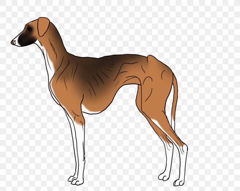 are mudhol hounds free
