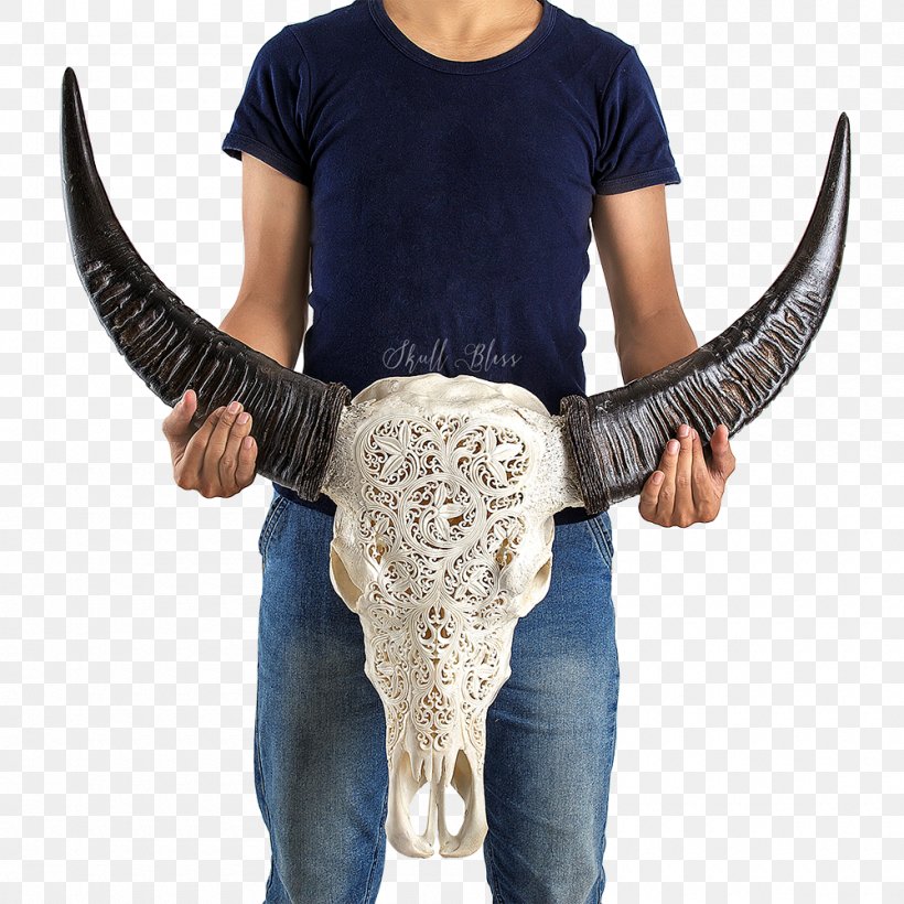 Horn Cattle Skull Centimeter Curvature, PNG, 1000x1000px, Horn, Cattle, Centimeter, Curvature, Gautama Buddha Download Free