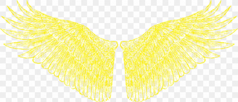 Yellow Neck Pattern, PNG, 3350x1447px, Yellow, Moths And Butterflies, Neck, Symmetry, Wing Download Free