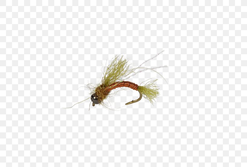 Artificial Fly Fly Fishing Nymph Fishing Bait, PNG, 555x555px, Artificial Fly, Bead, Clothing, Clothing Accessories, Fish Hook Download Free