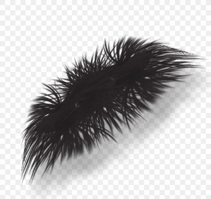 Black Eyelash Invertebrate Brush God, PNG, 1322x1251px, Black, Black And White, Black M, Brush, Eyelash Download Free