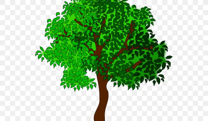 Clip Art Cartoon Tree Image Summer, PNG, 640x480px, Cartoon, Branch,  Drawing, Grass, Green Download Free