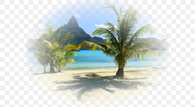 Desktop Wallpaper Blog Vacation, PNG, 600x450px, Blog, Arecales, Beach, Biscuits, Caribbean Download Free