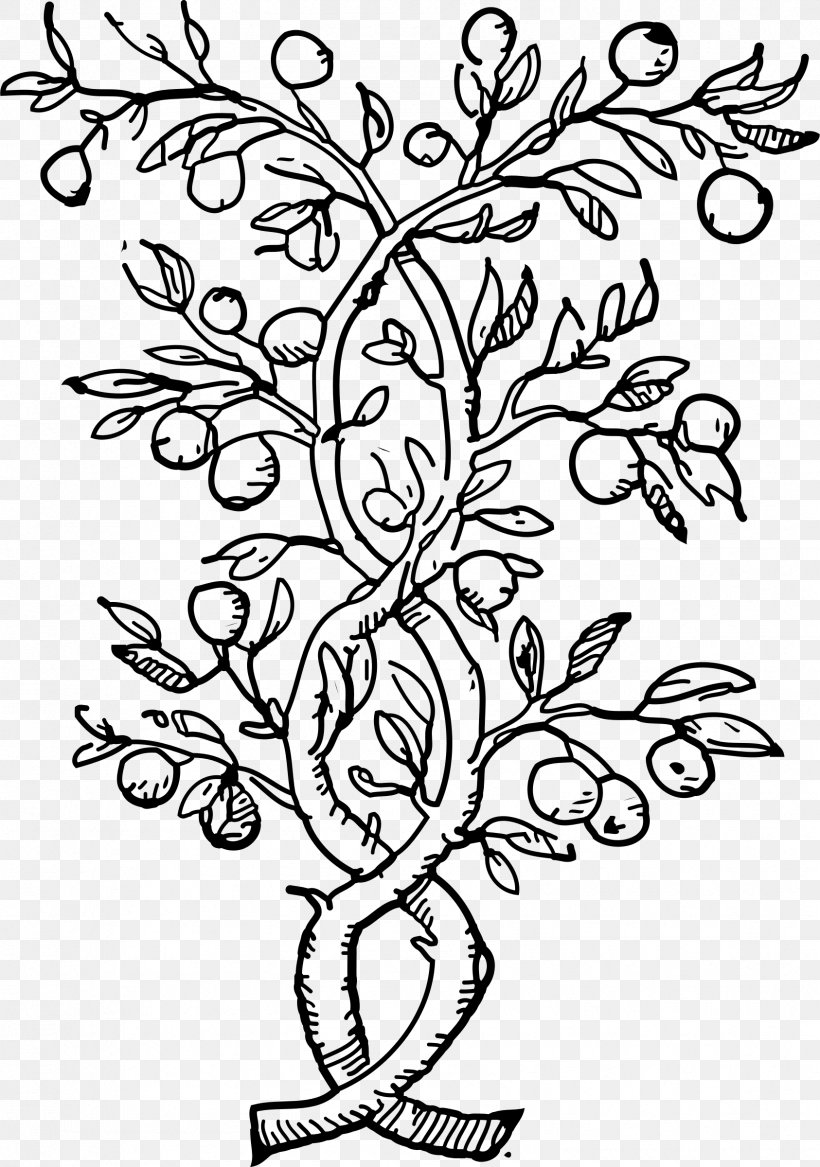 Fruit Tree Olive Coloring Book Clip Art, PNG, 1686x2400px, Tree, Apple, Area, Art, Black And White Download Free