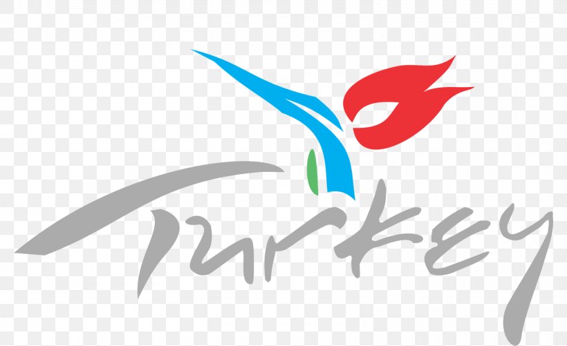 Turkish Football Federation Logo by Emrah Kara on Dribbble