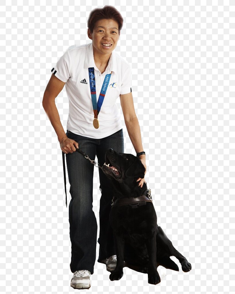 Dog Lindy Hou Paralympic Games 2014 Winter Paralympics Leash, PNG, 556x1028px, Dog, Bronze Medal, Champion, Dog Like Mammal, Gold Medal Download Free