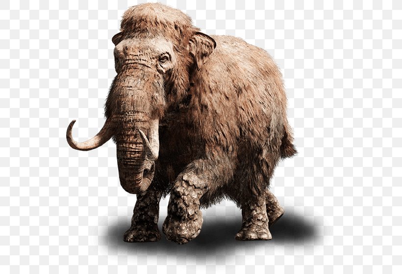 Far Cry Primal Far Cry Instincts Far Cry 3 PlayStation 4 Woolly Mammoth, PNG, 550x558px, Far Cry Primal, African Elephant, Cattle Like Mammal, Elephant, Elephants And Mammoths Download Free