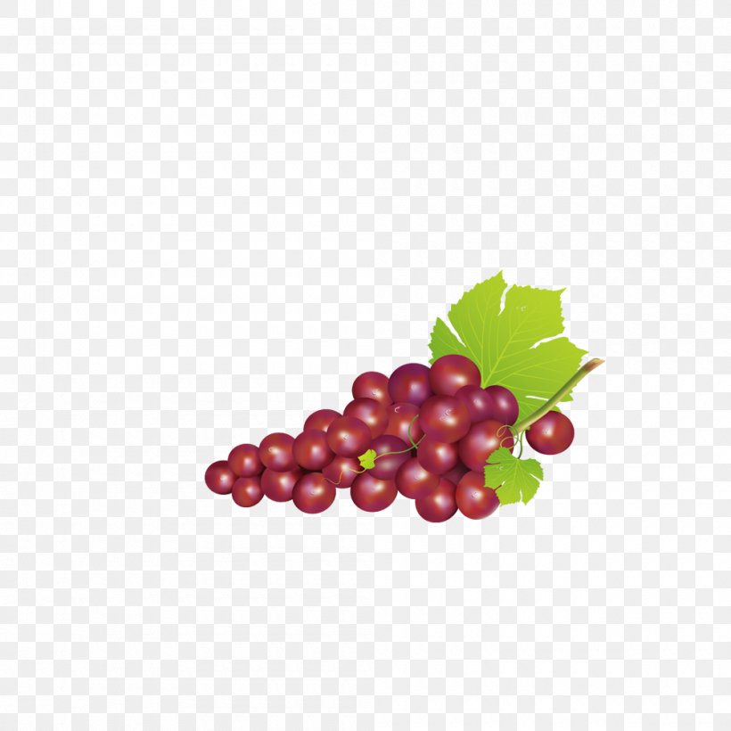 Grape Icon, PNG, 1000x1000px, Grape, Berry, Cherry, Designer, Food Download Free