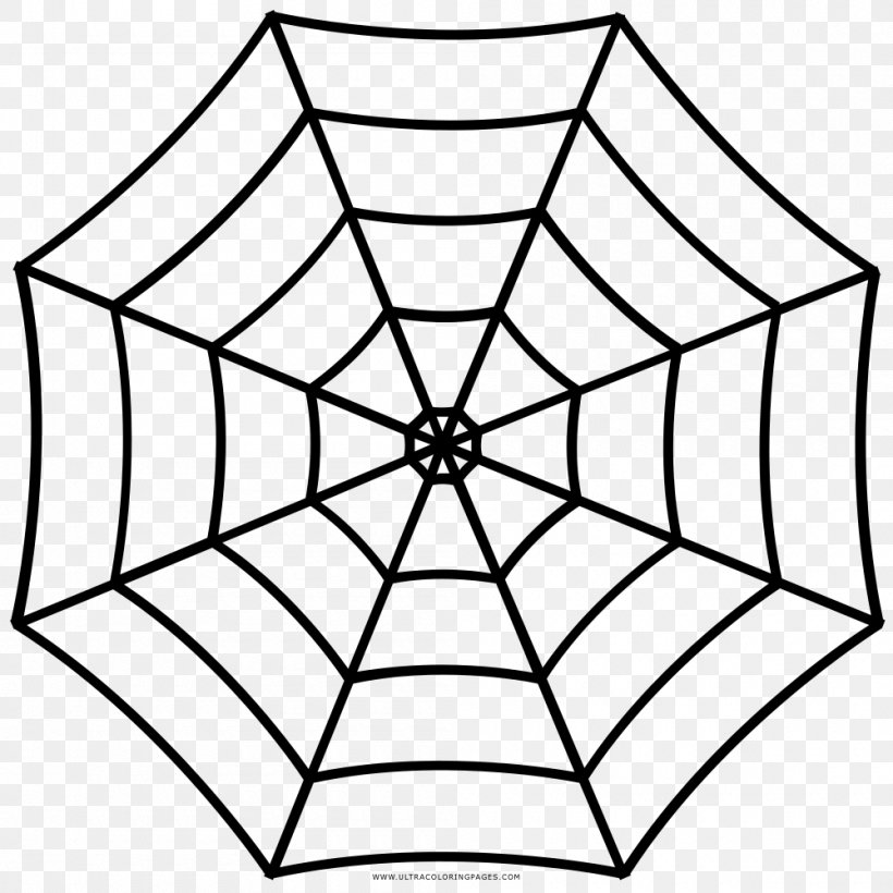 Spider Web Clip Art, PNG, 1000x1000px, Spider, Area, Black, Black And White, Black House Spider Download Free