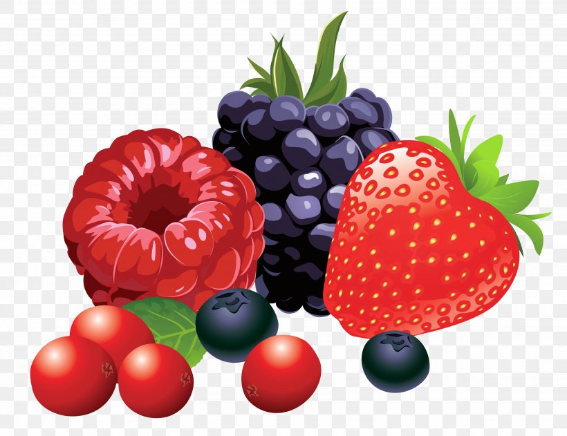 Berry Fruit Clip Art, PNG, 3480x2681px, Berry, Blackberry, Blueberry, Cherry, Cranberry Download Free