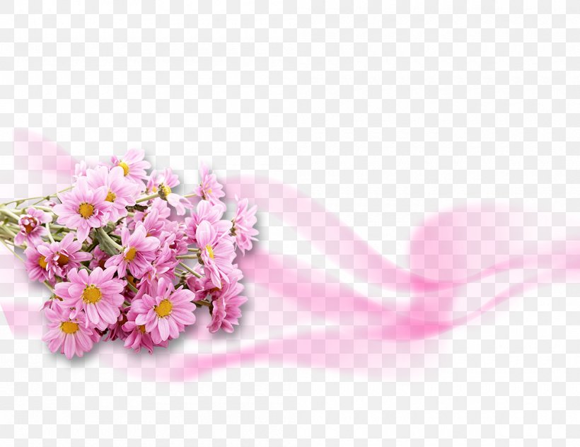 Flower Pink Chrysanthemum Wallpaper, PNG, 1000x771px, Flower, Blossom, Cherry Blossom, Chrysanthemum, Cut Flowers Download Free