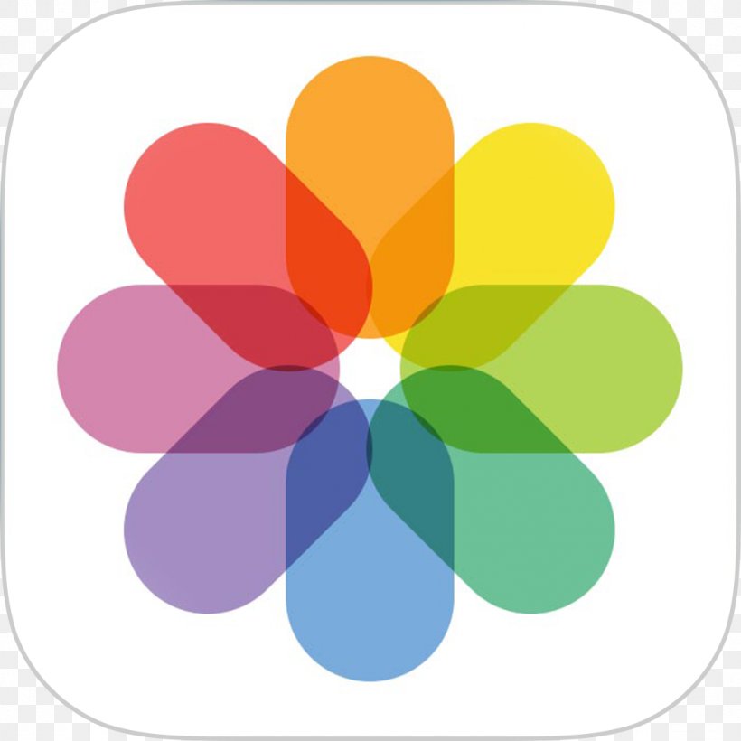 IPhone 4 IPhone 5 Drop7 IOS 7, PNG, 1024x1024px, Iphone 4, App Store, Apple Id, Apple Photos, Flower Download Free