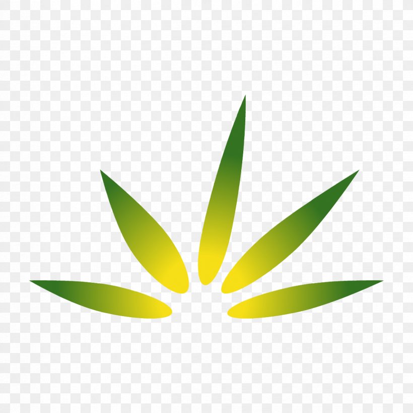 Medical Cannabis Smoking Cannabis Industry Cannabis Sativa, PNG, 1224x1224px, Cannabis, Cannabis Industry, Cannabis Sativa, Cannabis Shop, Drug Download Free