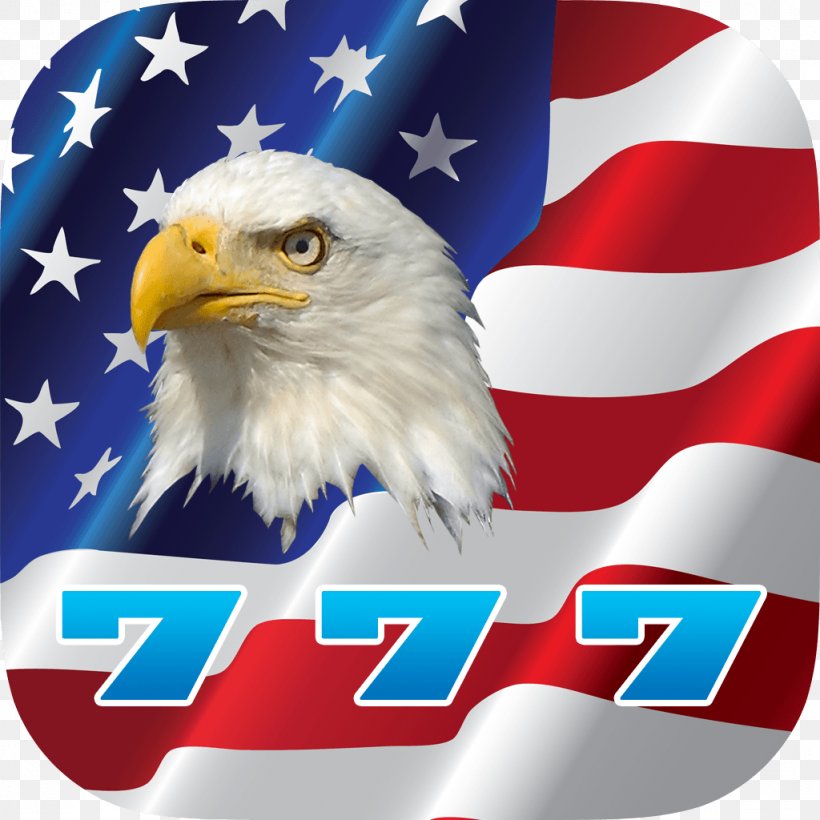 Bald Eagle Flag Of The United States Banner, PNG, 1024x1024px, Bald Eagle, Banner, Beak, Bird, Bird Of Prey Download Free