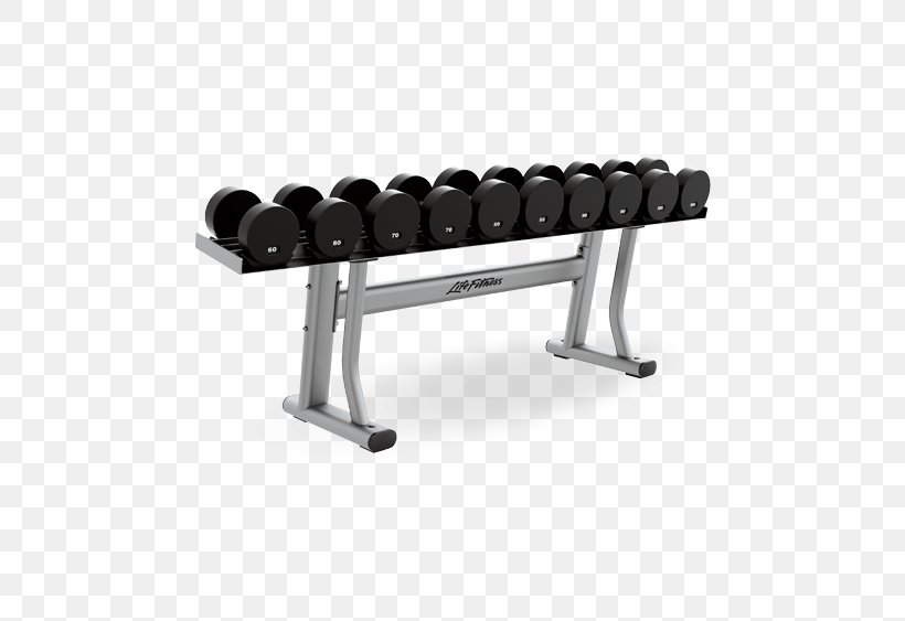 Dumbbell Treadmill Life Fitness Bodybuilding Fitness Centre, PNG, 750x563px, Dumbbell, Bench, Bodybuilding, Business, Commerce Download Free