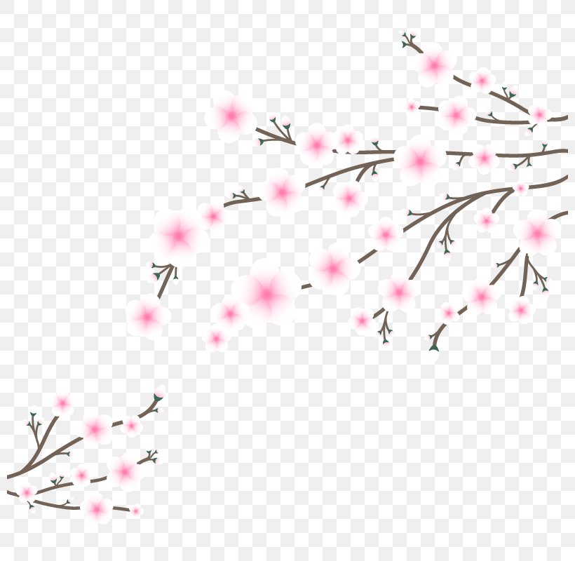 Japan Flower Cherry Blossom Euclidean Vector, PNG, 800x800px, Japan, Blossom, Branch, Cerasus, Cherry Blossom Download Free