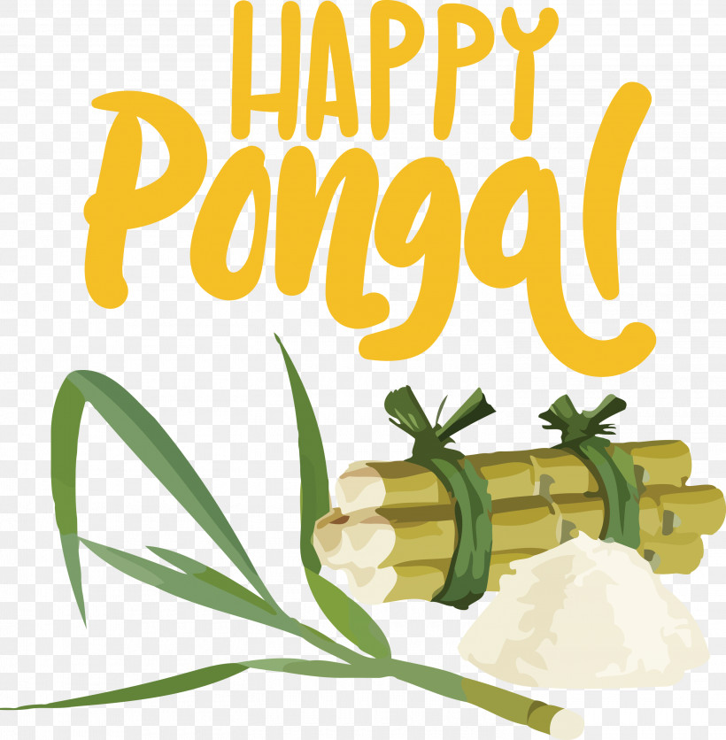 Pongal Happy Pongal Harvest Festival, PNG, 2940x3000px, Pongal, Agriculture, Bagasse, Combine Harvester, Granulated Sugar Download Free