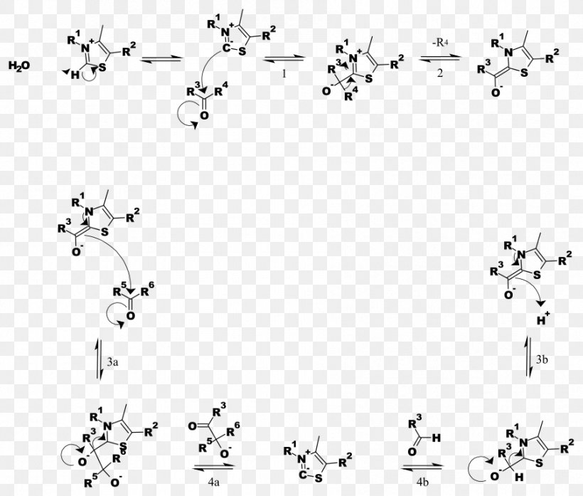Thiamine Pyrophosphate Transketolase Reaction Mechanism Chemical Reaction Chemistry, PNG, 903x768px, Thiamine Pyrophosphate, Alphaketoglutaric Acid, Area, Black, Black And White Download Free