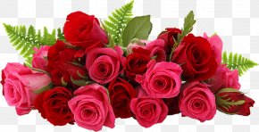 Rose - Clip Art Rose Image Flower PNG