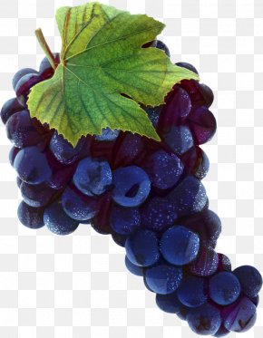 Snack Grape Seed Extract - Leaves Background PNG