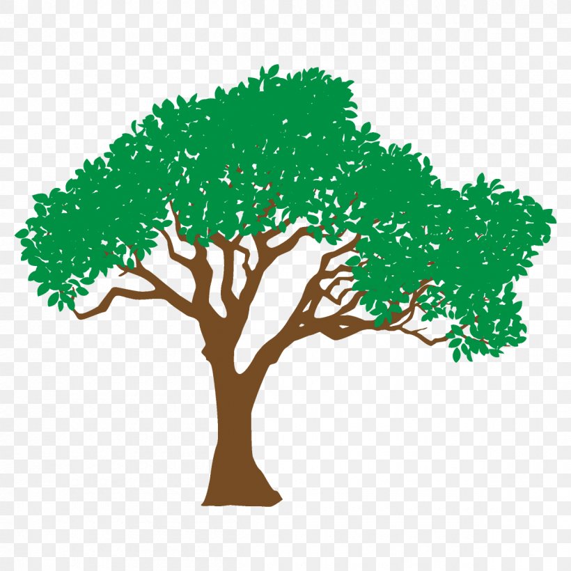 Arbor Day, PNG, 1200x1200px, Tree, Arbor Day, Branch, Green, Leaf Download Free