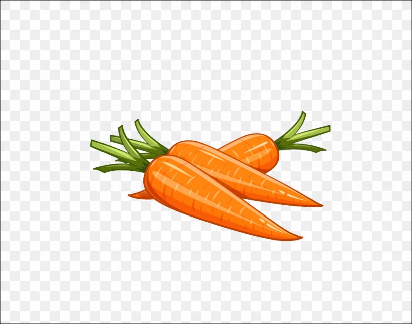 Carrot Drawing Royalty-free Illustration, PNG, 1024x806px, Carrot, Arracacia Xanthorrhiza, Baby Carrot, Drawing, Food Download Free