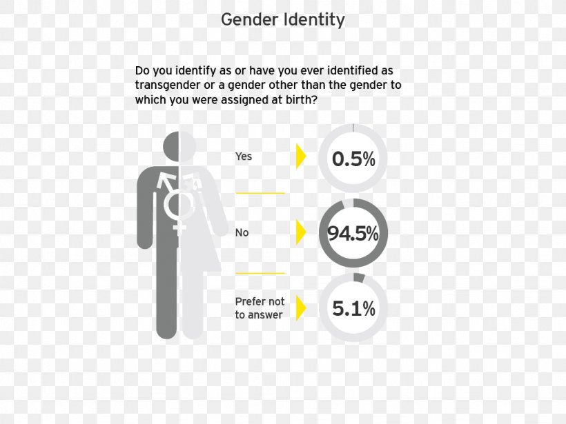 Gender Identity Ernst & Young Gender Role Diversity, PNG, 1024x768px, Identity, Area, Brand, Communication, Diagram Download Free
