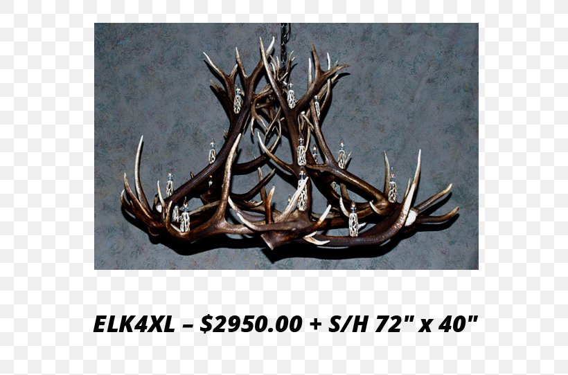 Antler Elk White-tailed Deer Moose, PNG, 736x542px, Antler, Animal, Animal Product, Antlers By Cody, Chandelier Download Free