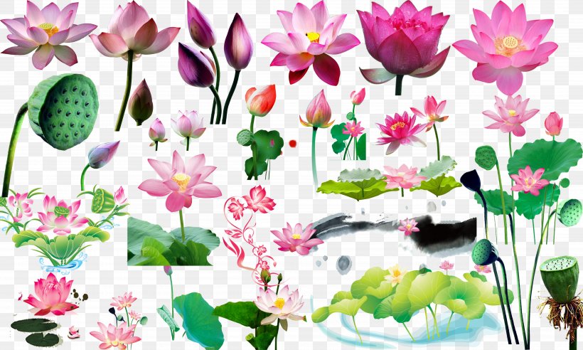 Computer File, PNG, 5000x3000px, Cdr, Annual Plant, Aquatic Plant, Art, Blossom Download Free