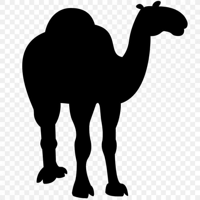 Dromedary Horse Bactrian Camel Black & White, PNG, 999x999px, Dromedary, Animal, Animal Figure, Arabian Camel, Bactrian Camel Download Free