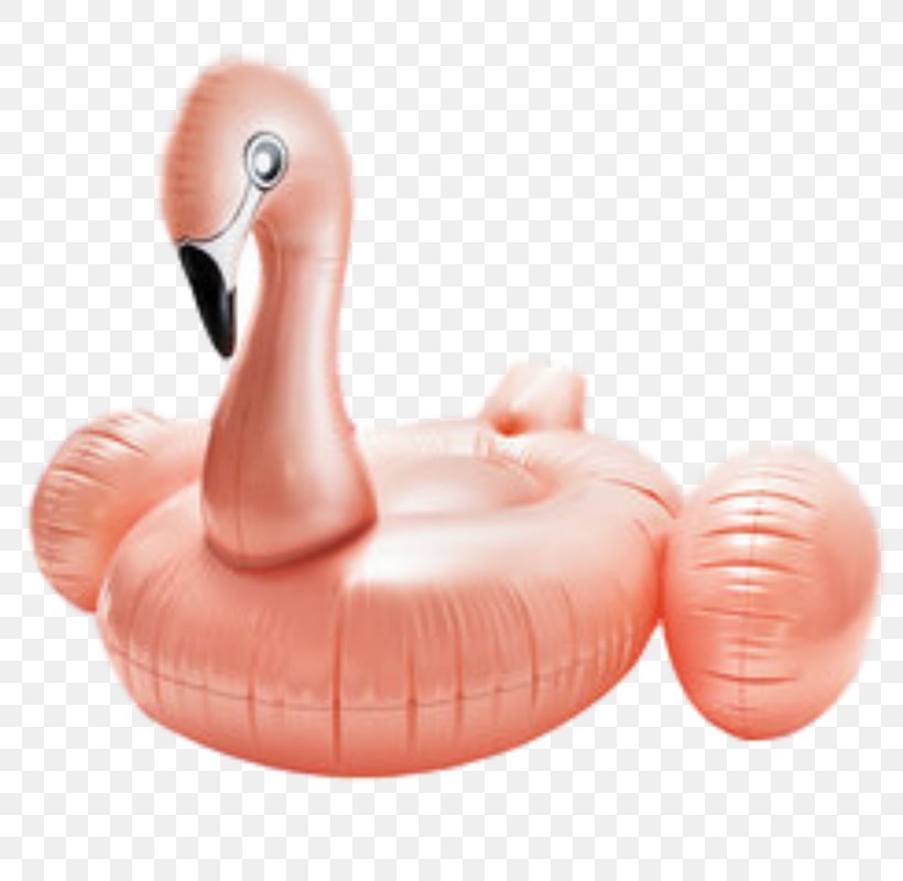 Flamingos Inflatable Swim Ring Swimming Pool Raft, PNG, 800x800px, Flamingos, Brand, Buoy, Flamenco, Float Download Free