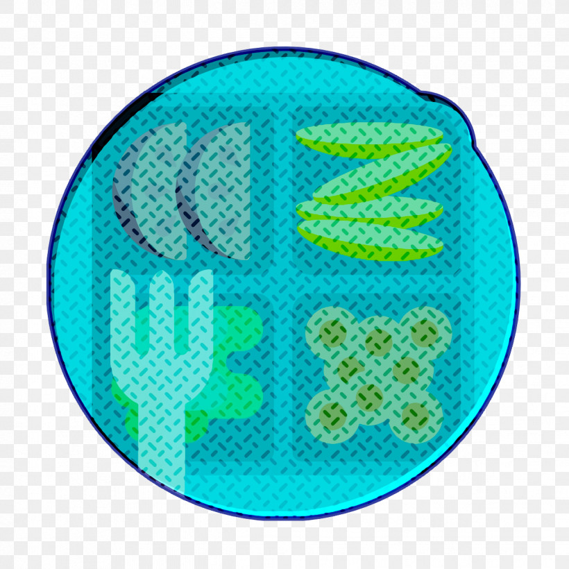 Lunch Icon Take Away Icon Lunch Box Icon, PNG, 1238x1238px, Lunch Icon, Aqua, Circle, Electric Blue, Green Download Free