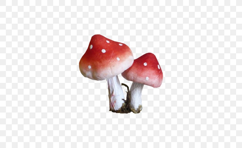 Mushroom Fungus Animaatio, PNG, 500x500px, Mushroom, Animaatio, Blog, Computer Animation, Fungus Download Free
