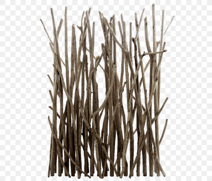 Clip Art Twig Wood Branch, PNG, 561x699px, Twig, Branch, Chair, Driftwood, Fence Download Free