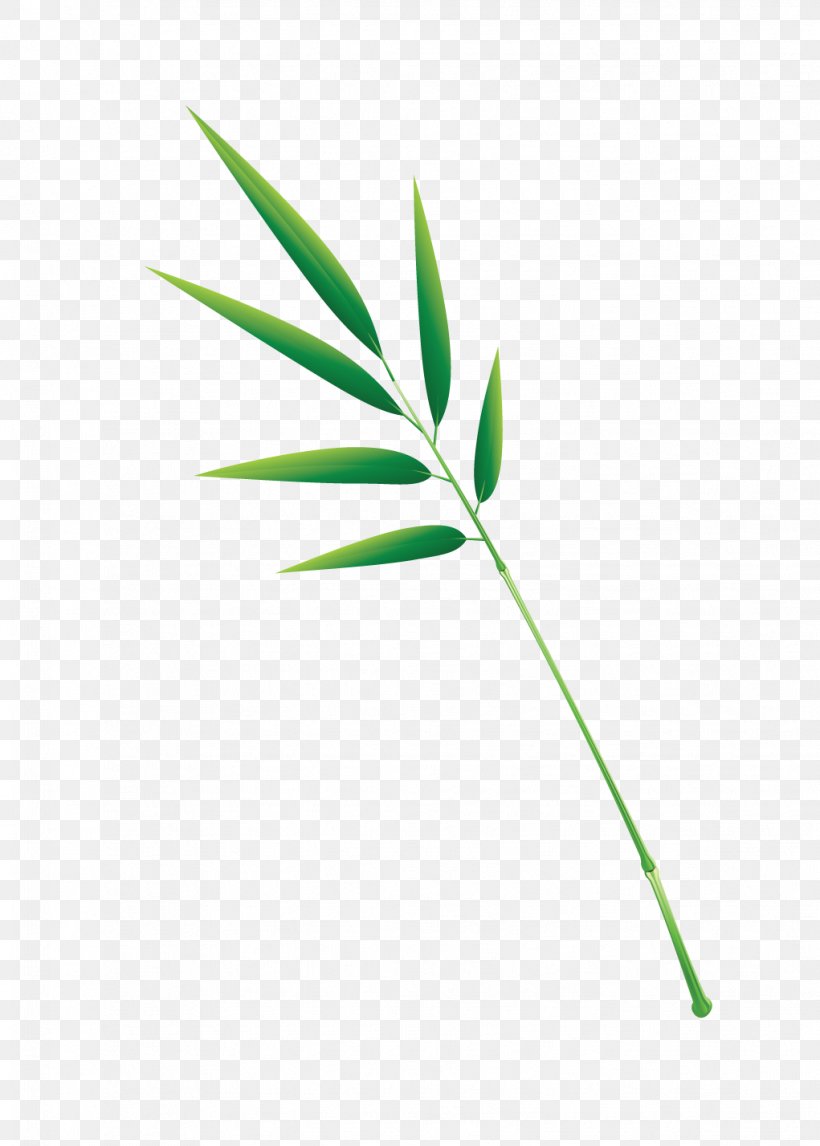 Zongzi Leaf, PNG, 1021x1428px, Zongzi, Albom, Bamboe, Bamboo, Computer Graphics Download Free