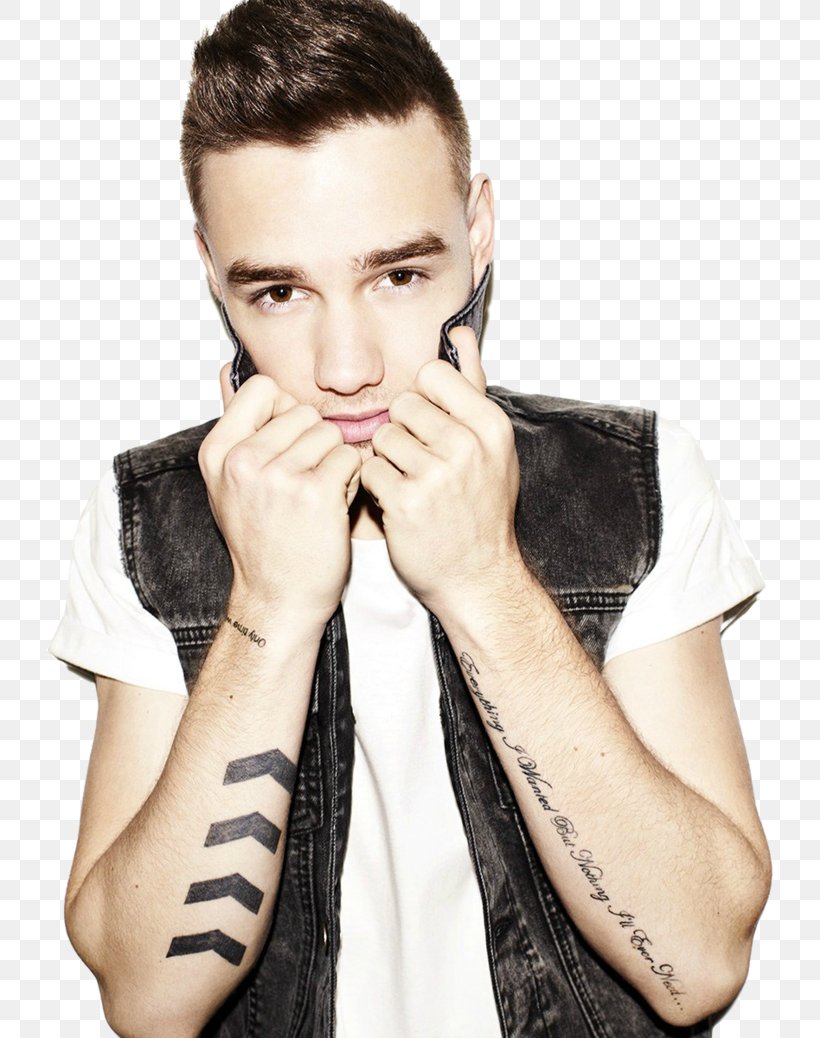Liam Payne One Direction Musician, PNG, 770x1038px, Watercolor, Cartoon, Flower, Frame, Heart Download Free
