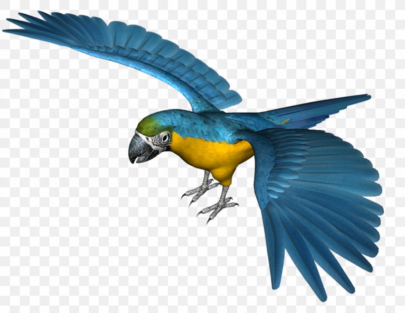 Parrot Bird Clip Art, PNG, 1024x794px, Parrot, Beak, Bird, Blueandyellow Macaw, Common Pet Parakeet Download Free