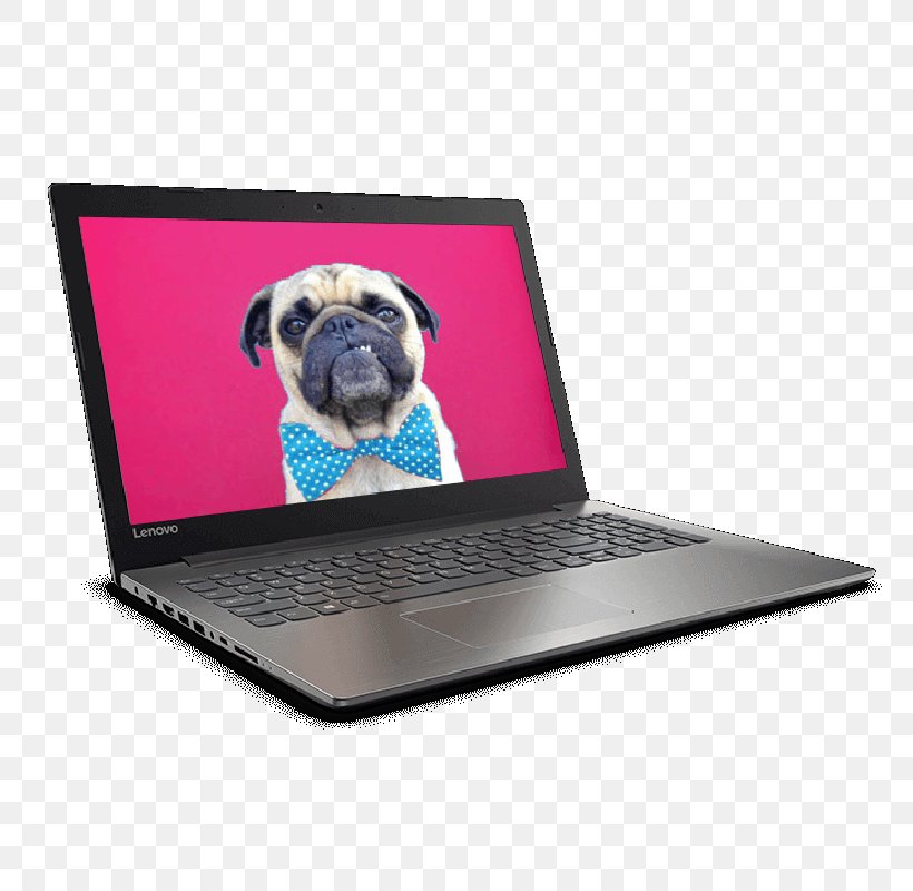 Lenovo Ideapad 320 (15) Intel Core I5 Laptop Intel Core I7, PNG, 800x800px, Lenovo Ideapad 320 15, Carnivoran, Dog, Dog Like Mammal, Gigabyte Download Free