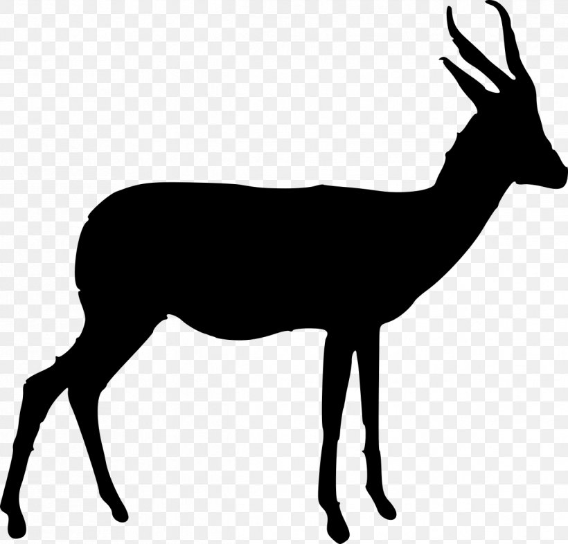 Springbok Antelope Gazelle Horn Clip Art, PNG, 1217x1167px, Springbok, Antelope, Antler, Black And White, Deer Download Free