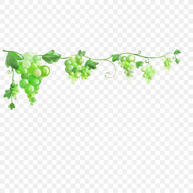 Common Grape Vine Desktop Wallpaper Image Clip Art, PNG, 1000x1000px, Common Grape Vine, Branch, Cartoon, Drawing, Flower Download Free