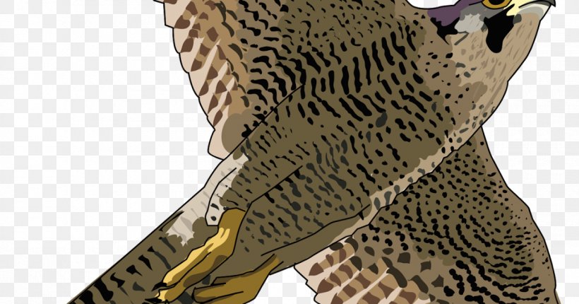 Peregrine Falcon Clip Art Hawk Bird, PNG, 1200x630px, Peregrine Falcon, Accipitriformes, Beak, Bird, Bird Of Prey Download Free