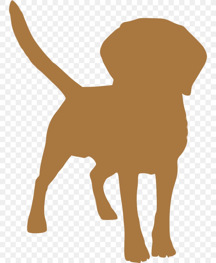 Dog Breed Puppy Tibetan Spaniel Tibetan Mastiff English Mastiff, PNG, 752x1000px, Dog Breed, Breed, Canidae, Carnivoran, Cat Download Free