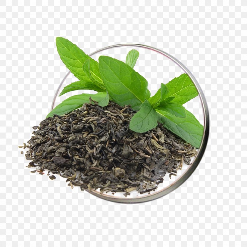 Green Tea Coffee Food Drink, PNG, 1000x1000px, Green Tea, Anorectic, Antioxidant, Apple Cider Vinegar, Assam Tea Download Free