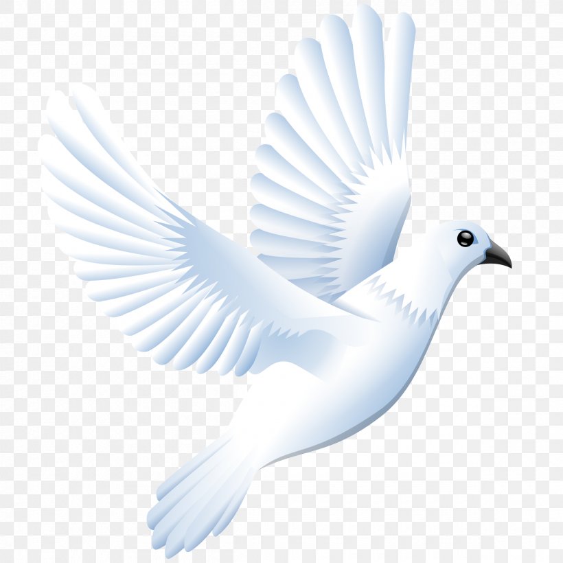 Columbidae Doves As Symbols Drawing Clip Art, PNG, 2400x2400px, Columbidae, Beak, Bird, Com, Doves As Symbols Download Free