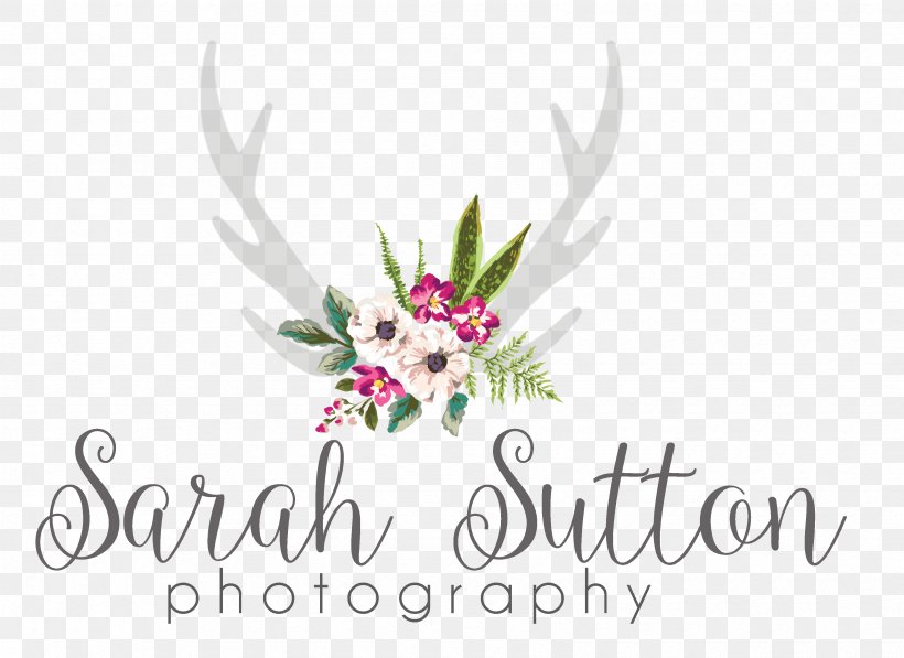 Floral Design Cut Flowers Logo, PNG, 3390x2471px, Floral Design, Artwork, Brand, Computer, Computer Font Download Free